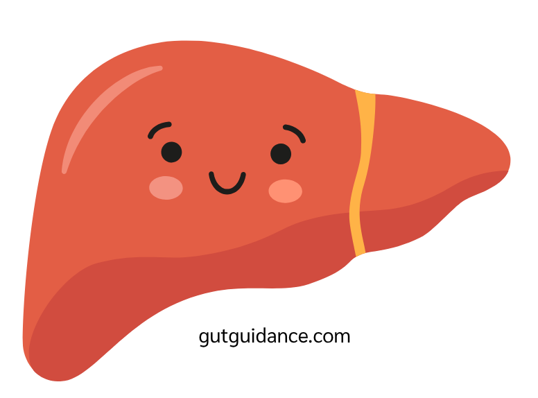 Graphic of a liver with a blushing smiley face